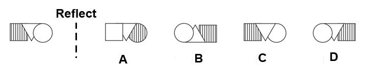 Non-Verbal Reasoning 11plus Mirror Reflection 13