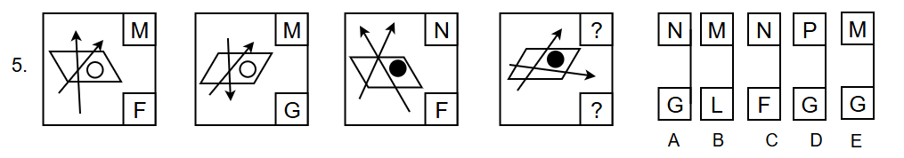 Langley2 NVRQ5B
