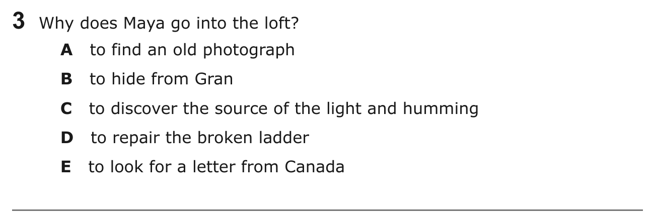 Year 5 English Q03