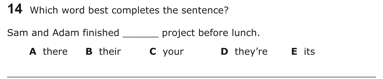 Year 5 English Q14