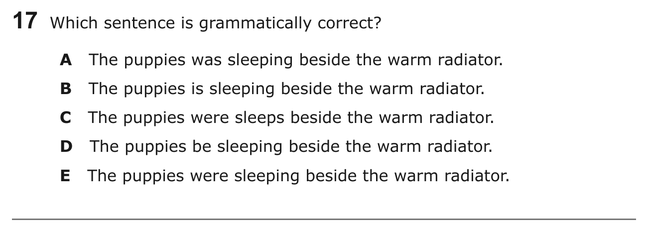 Year 5 English Q17